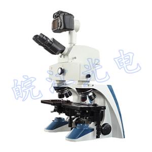 WSB-1生物比較顯... 